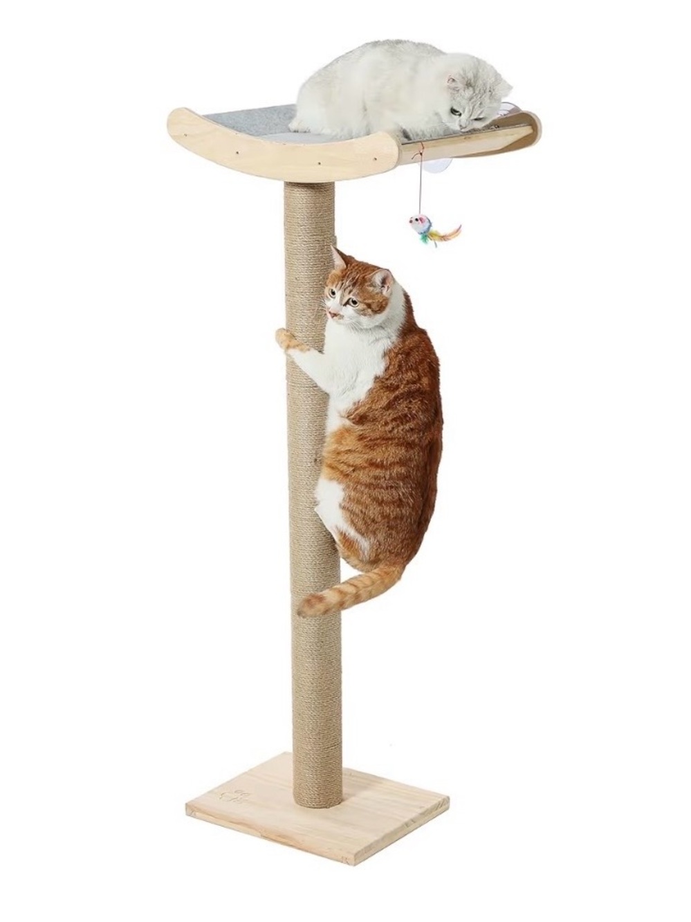 New Cat Window Perch with Tall Adjustable Scratching Posts & Pillow